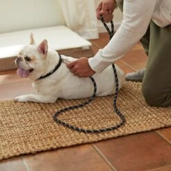 Frisco Reflective Rope Dog Leash -Ultimate Pet Shop 221214 PT4. AC SS1800 V1602862582