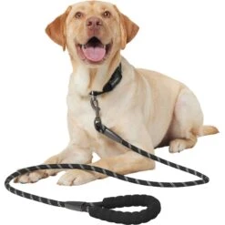 Frisco Rope Dog Leash With Padded Handle -Ultimate Pet Shop 221218 PT3. AC SS1800 V1701796765