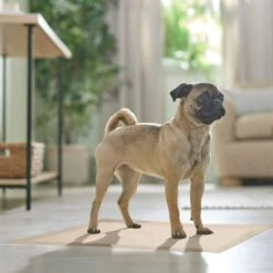 Frisco Large Eco-Conscious Dog Training & Potty Pads -Ultimate Pet Shop 227438 PT6. AC SS1800 V1674665619