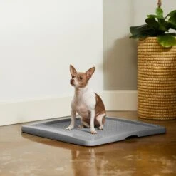 Frisco Training Pad Holder 10 Frisco Training Pad Holder -Ultimate Pet Shop 227474 PT6. AC SS1800 V1604701643