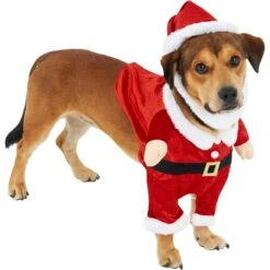 Frisco Front Walking Santa Dog & Cat Costume, 1 Count -Ultimate Pet Shop 228785 PT3. AC SS1800 V1631300866