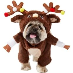 Frisco Front Walking Reindeer Dog & Cat Costume, 1 Count -Ultimate Pet Shop 228790 PT2. AC SS1800 V1636731101