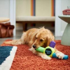 Frisco Retro Whack It! Ballistic Nylon Plush Squeaky Dog Toy -Ultimate Pet Shop 230302 PT3. AC SS1800 V1601947283