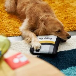 Frisco Retro Floppy Disc Ballistic Nylon Plush Squeaky Dog Toy -Ultimate Pet Shop 230304 PT3. AC SS1800 V1602639753