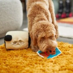 Frisco Retro Camera 2-in-1 Rip For Surprise Plush Squeaky Dog Toy -Ultimate Pet Shop 230306 PT3. AC SS1800 V1602639779