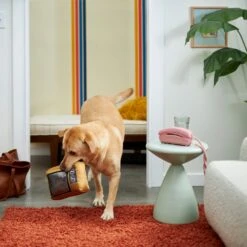 Frisco Retro Television Ballistic Nylon Plush Squeaky Dog Toy -Ultimate Pet Shop 230308 PT3. AC SS1800 V1601947325