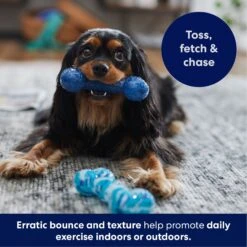 Frisco Retro Denim & Swirl TPR Bone Squeaky Dog Toy -Ultimate Pet Shop 230341 PT4. AC SS1800 V1695748896