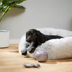 Frisco Retro Plush Squeaky Disco Dog Toy 5 Frisco Retro Plush Squeaky Disco Dog Toy -Ultimate Pet Shop 230349 PT3. AC SS1800 V1600973789