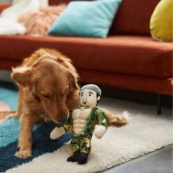Frisco Retro Camo Hero Muscle Plush Squeaky Dog Toy -Ultimate Pet Shop 230375 PT3. AC SS1800 V1602639726