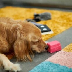 Frisco Retro Funky Van TPE Treat Dispenser Dog Toy, Medium/Large -Ultimate Pet Shop 230383 PT4. AC SS1800 V1669908614