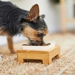 Frisco Square Melamine Dog & Cat Bowl With Bamboo Stand -Ultimate Pet Shop 232072 PT8. AC SS1800 V1605746845