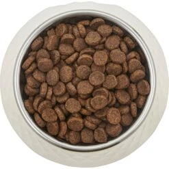 Frisco Hammered Melamine Stainless Steel Dog Bowl -Ultimate Pet Shop 232083 PT3. AC SS1800 V1609885089