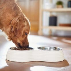 Frisco Stainless Steel Double Dog Bowls With Melamine Stand -Ultimate Pet Shop 232092 PT7. AC SS1800 V1693015855