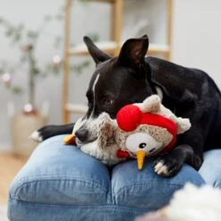 Frisco Holiday Owl Plush Squeaky Dog Toy -Ultimate Pet Shop 233160 PT2. AC SS1800 V1601304724