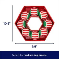 Frisco Holiday Wreath Fetch Squeaky Tennis Ball Dog Toy -Ultimate Pet Shop 233189 PT1. AC SS1800 V1695045246