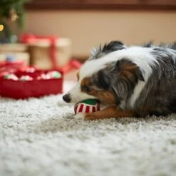 Frisco Holiday Wreath Fetch Squeaky Tennis Ball Dog Toy -Ultimate Pet Shop 233189 PT3. AC SS1800 V1665759769