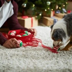 Frisco Holiday Wreath Fetch Squeaky Tennis Ball Dog Toy -Ultimate Pet Shop 233189 PT5. AC SS1800 V1601919657