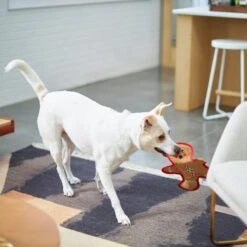 Frisco Holiday Gingerbread Man Flat Plush Squeaky Dog Toy 8 Frisco Holiday Gingerbread Man Flat Plush Squeaky Dog Toy -Ultimate Pet Shop 233241 PT2. AC SS1800 V1601311903