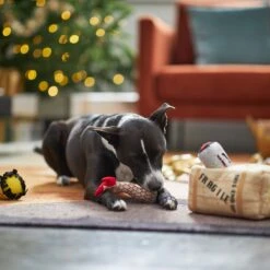 Frisco Holiday Fragile Box Hide & Seek Puzzle Plush Squeaky Dog Toy -Ultimate Pet Shop 233274 PT4. AC SS1800 V1665759767