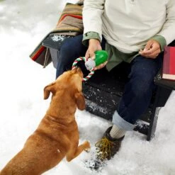 Frisco Holiday Christmas Light Rope With TPR Squeaky Dog Toy -Ultimate Pet Shop 233278 PT2. AC SS1800 V1601641574