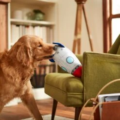 Frisco Ballistic Nylon Plush Squeaky Rocket Ship Dog Toy -Ultimate Pet Shop 233581 PT3. AC SS1800 V1600973767