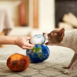 Frisco Earth, Mars, And Moon Plush Squeaky Dog Toy -Ultimate Pet Shop 233587 PT3. AC SS1800 V1600973771