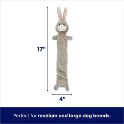 Frisco Bunny Bungee Plush Squeaky Dog Toy -Ultimate Pet Shop 233612 PT1. AC SS1800 V1691784031