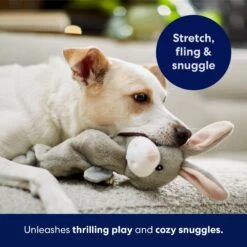 Frisco Bunny Bungee Plush Squeaky Dog Toy -Ultimate Pet Shop 233612 PT5. AC SS1800 V1691783971