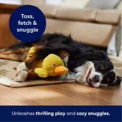 Frisco Duck Plush Squeaky Dog Toy -Ultimate Pet Shop 233613 PT4. AC SS1800 V1695670688