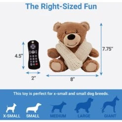 Frisco Zoomies & Chill Cozy Blanket Bear Plush Squeaky Dog Toy 3 Frisco Zoomies & Chill Cozy Blanket Bear Plush Squeaky Dog Toy -Ultimate Pet Shop 241675 PT1. AC SS1800 V1612879571
