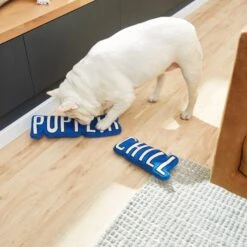 Frisco Zoomies & Chill Pupflix & Chill Plush Squeaky Dog Toy, 2 Count -Ultimate Pet Shop 241693 PT6. AC SS1800 V1610768429