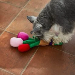 Frisco Valentine Rose Bouquet Plush Squeaky Dog Toy -Ultimate Pet Shop 241733 PT6. AC SS1800 V1607990908