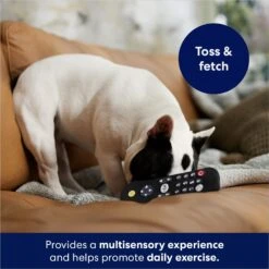Frisco Zoomies & Chill Remote Latex Squeaky Dog Toy -Ultimate Pet Shop 241753 PT6. AC SS1800 V1686580150