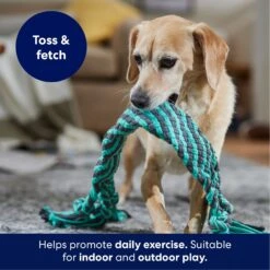 Frisco Flat Teal & Gray Braided Rope Squeaky Fetch Dog Toy -Ultimate Pet Shop 242127 PT3. AC SS1800 V1695242179