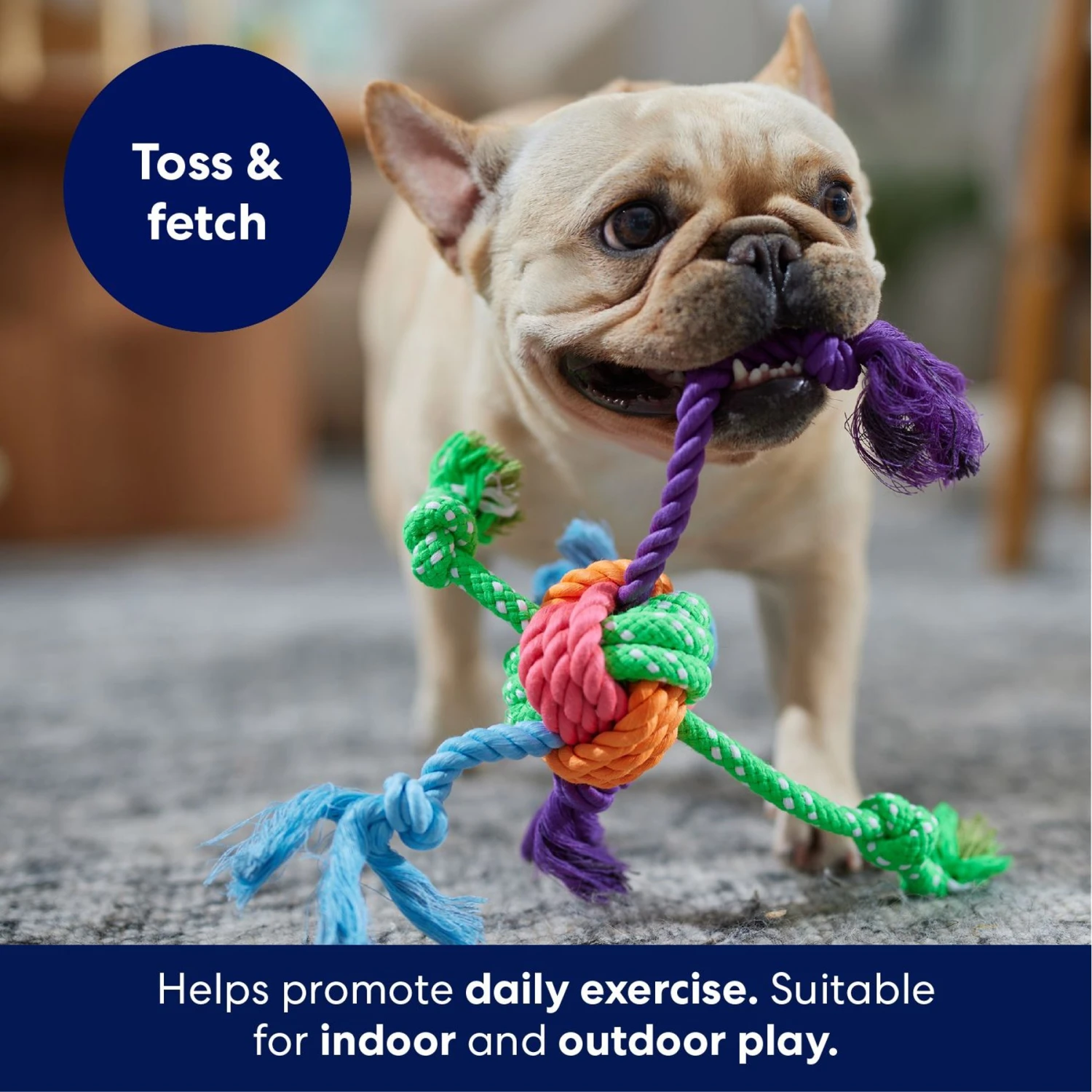 Frisco Fetch Colorful Ball Knot Rope Dog Toy 3 Frisco Fetch Colorful Ball Knot Rope Dog Toy - Image 3