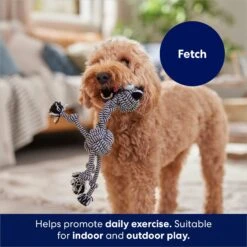 Frisco Zebra Rope Squeaky Dog Toy -Ultimate Pet Shop 242163 PT3. AC SS1800 V1691785245