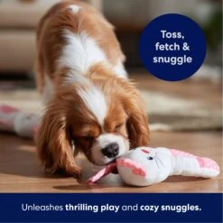 Frisco Bunny Plush Squeaky Puppy Toy -Ultimate Pet Shop 245916 PT3. AC SS1800 V1695760959