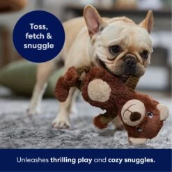 Frisco Bear Plush Squeaky Dog Toy -Ultimate Pet Shop 245924 PT4. AC SS1800 V1695760929