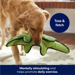 Frisco Alligator Stuffing-Free Flat Plush Squeaky Dog Toy -Ultimate Pet Shop 245943 PT2. AC SS1800 V1678723898