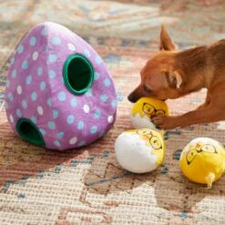 Frisco Spring Easter Egg Hide & Seek Plush Squeaky Dog Toy -Ultimate Pet Shop 248037 PT5. AC SS1800 V1608763654