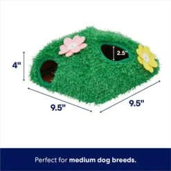 Frisco Spring Bunny Burrow Hide & Seek Plush Squeaky Dog Toy -Ultimate Pet Shop 248039 PT1. AC SS1800 V1700243717