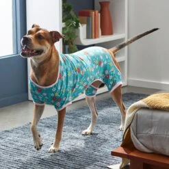 Frisco Teal Floral Dog & Cat Jersey PJs -Ultimate Pet Shop 249132 PT7. AC SS1800 V1614376401