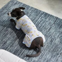 Frisco Sleepy Sloths Dog & Cat Jersey PJs -Ultimate Pet Shop 249144 PT7. AC SS1800 V1614369158