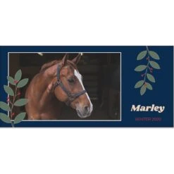 Frisco Berry Garland Personalized Coffee Mug, 11-oz -Ultimate Pet Shop 249333 PT2. AC SS1800 V1602863774