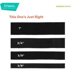 Frisco Solid Nylon Personalized Martingale Dog Collar -Ultimate Pet Shop 249561 PT4. AC SS1800 V1628876638