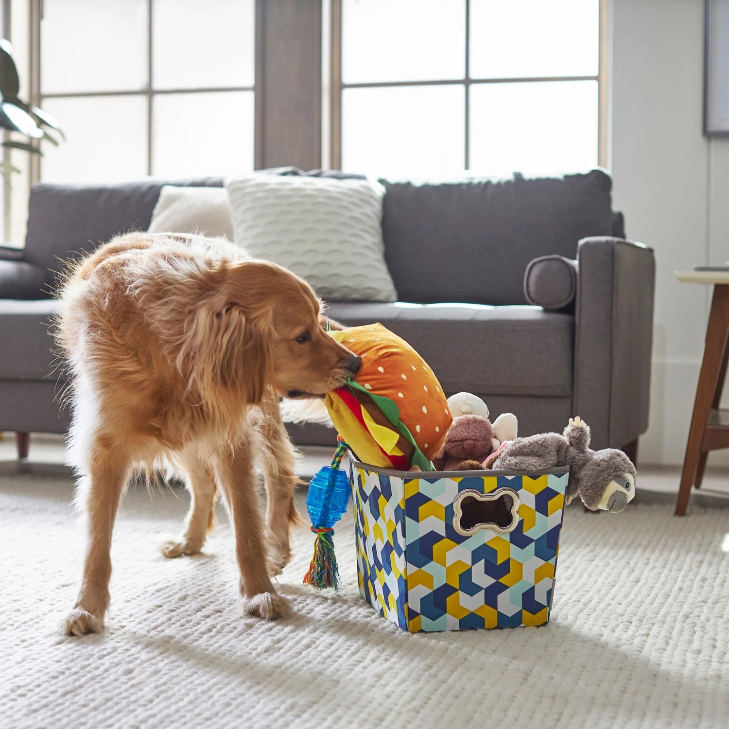 Frisco Rectangle Collapsible Pet Toy Storage Bin, Yellow Geometric 4 Frisco Rectangle Collapsible Pet Toy Storage Bin, Yellow Geometric - Image 4