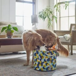 Frisco Round Collapsible Pet Toy Storage Bin, Yellow Geometric -Ultimate Pet Shop 250587 PT3. AC SS1800 V1615572147