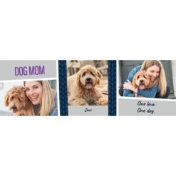 Frisco Double Walled "Dog Mom" Personalized Tumbler, 30-oz Cup -Ultimate Pet Shop 250741 PT2. AC SS1800 V1602689509