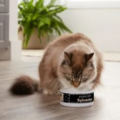 Frisco "Paws Off" Ceramic Personalized Dog & Cat Bowl 7 Frisco "Paws Off" Ceramic Personalized Dog & Cat Bowl -Ultimate Pet Shop 250829 PT3. AC SS1800 V1610767170