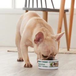 Frisco Boho Damask Ceramic Personalized Dog & Cat Bowl -Ultimate Pet Shop 250833 PT3. AC SS1800 V1610758070